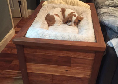 Raised Dog Bed